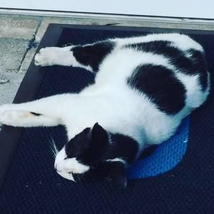 Meet your Posher, Katherine